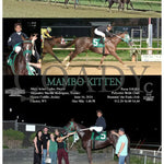 Mambo Kitten - 06-16-24 R07 Mnr Mountaineer Park