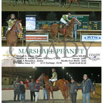 Marshall Peanut - 02-02-24 R07 Ct Hollywood Casino At Charles Town Races