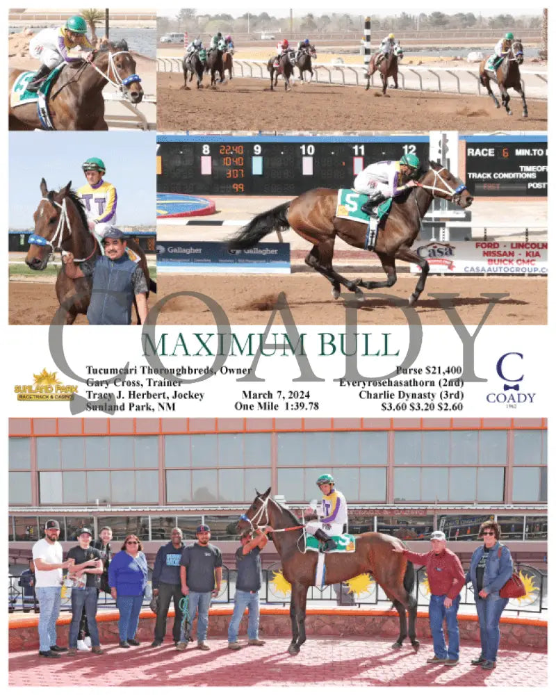 Maximum Bull - 03 - 07 - 24 R06 Sun Sunland Park