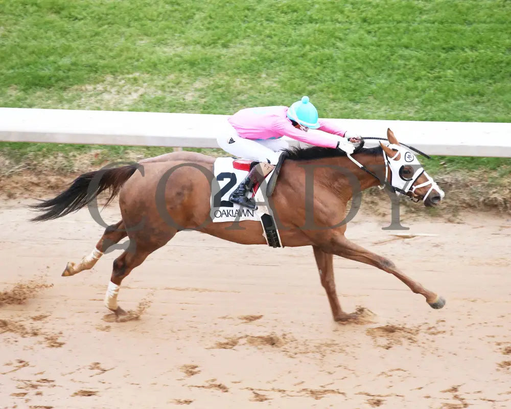 Misty Veil - The Pippin Stakes 42Nd Running 01-06-24 R09 Op Aerial Finish 01 Oaklawn Park