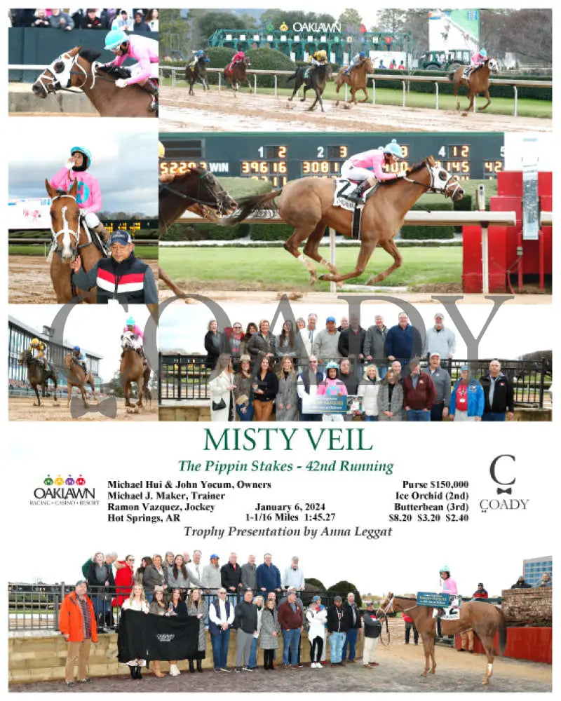 Misty Veil - The Pippin Stakes 42Nd Running 01-06-24 R09 Op Oaklawn Park