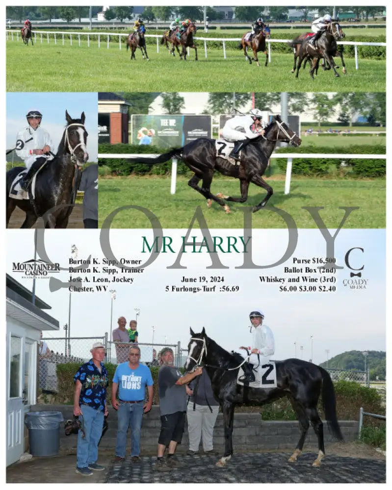 Mr Harry - 06-19-24 R01 Mnr Mountaineer Park