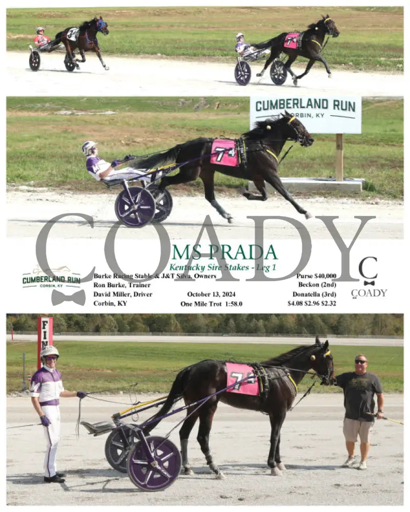 Ms Prada - Kentucky Sire Stakes Leg 1 10-13-24 R04 Clr Cumberland Run