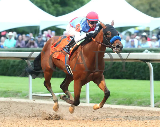 Muth - The 88Th Running Of Arkansas Derby G1 03 - 30 - 24 R12 Op Finish 02 Oaklawn Park