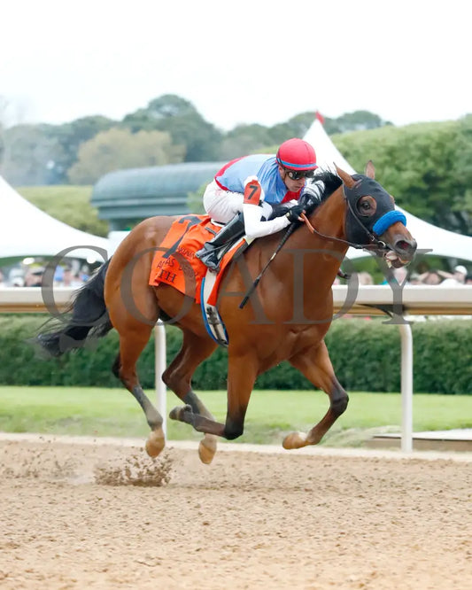 Muth - The 88Th Running Of Arkansas Derby G1 03 - 30 - 24 R12 Op Finish 04 Oaklawn Park