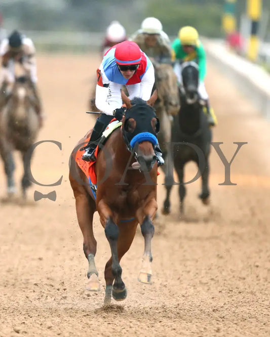 Muth - The 88Th Running Of Arkansas Derby G1 03 - 30 - 24 R12 Op Gallop Out 01 Oaklawn Park