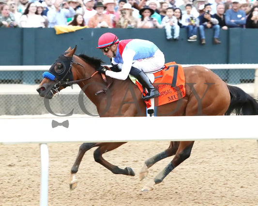 Muth - The 88Th Running Of Arkansas Derby G1 03 - 30 - 24 R12 Op Inside Finish 01 Oaklawn Park