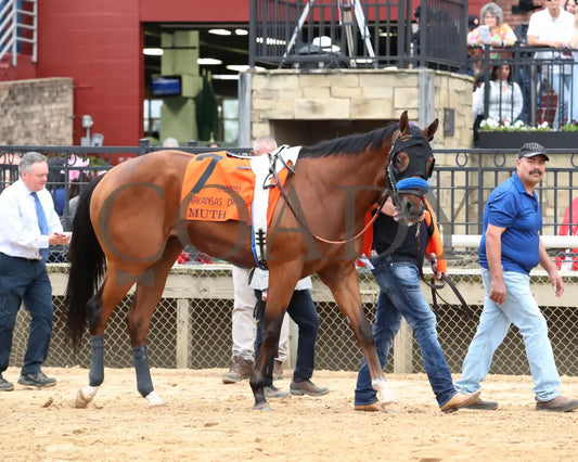 Muth - The 88Th Running Of Arkansas Derby G1 03 - 30 - 24 R12 Op Paddock 04 Oaklawn Park