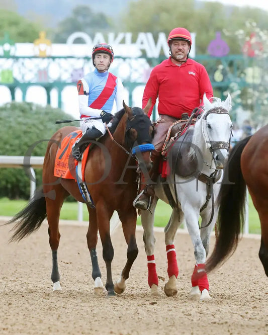 Muth - The 88Th Running Of Arkansas Derby G1 03 - 30 - 24 R12 Op Post Parade 01 Oaklawn Park
