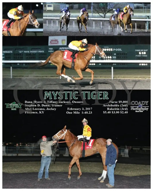 Mystic Tiger - 020317 Race 02 Tp Turfway Park