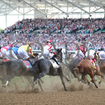 Mystik Dan - The Kentucky Derby G1 150Th Running 05-04-24 R12 Churchill Downs First Turn 02 Ashley