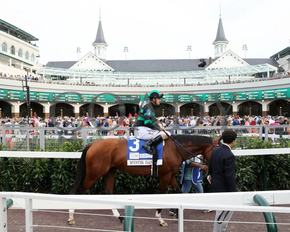 Mystik Dan - The Kentucky Derby G1 150Th Running 05-04-24 R12 Churchill Downs Paddock 01 Renee