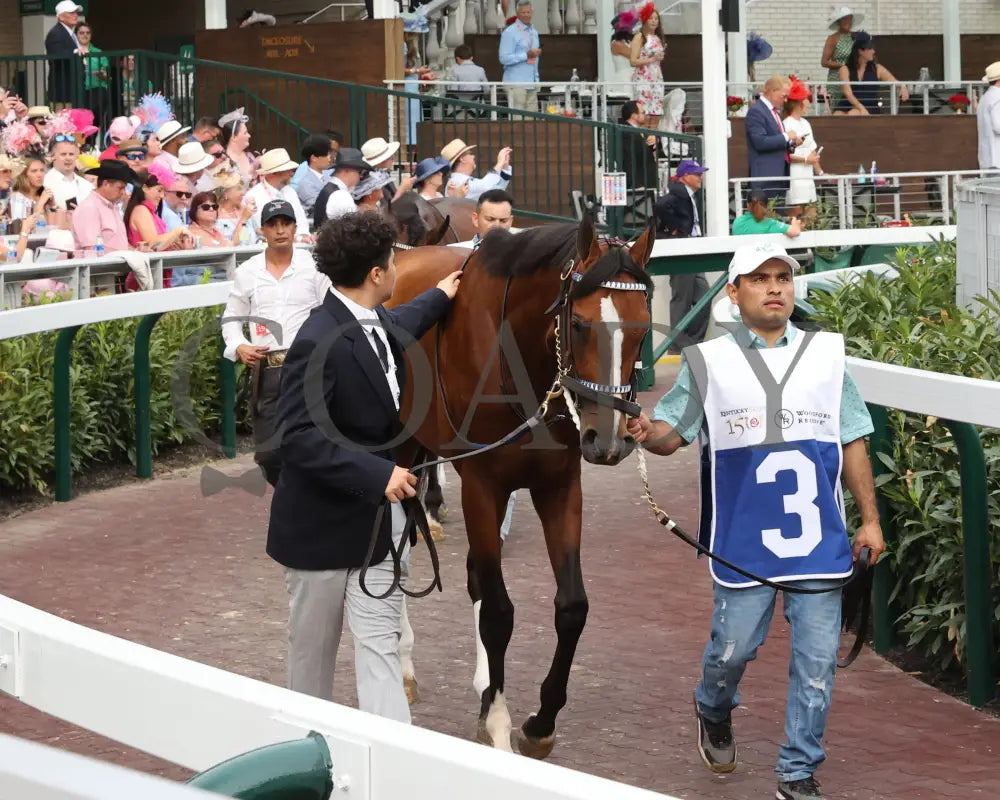 Mystik Dan - The Kentucky Derby G1 150Th Running 05-04-24 R12 Churchill Downs Paddock 06 Renee