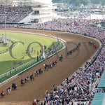 Mystik Dan - The Kentucky Derby G1 150Th Running 05-04-24 R12 Churchill Downs Post Parade 01 Cathy