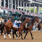 Mystik Dan - The Kentucky Derby G1 150Th Running 05-04-24 R12 Churchill Downs Post Parade 02