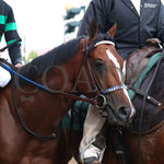 Mystik Dan - The Kentucky Derby G1 150Th Running 05-04-24 R12 Churchill Downs Post Parade 03 Ashley