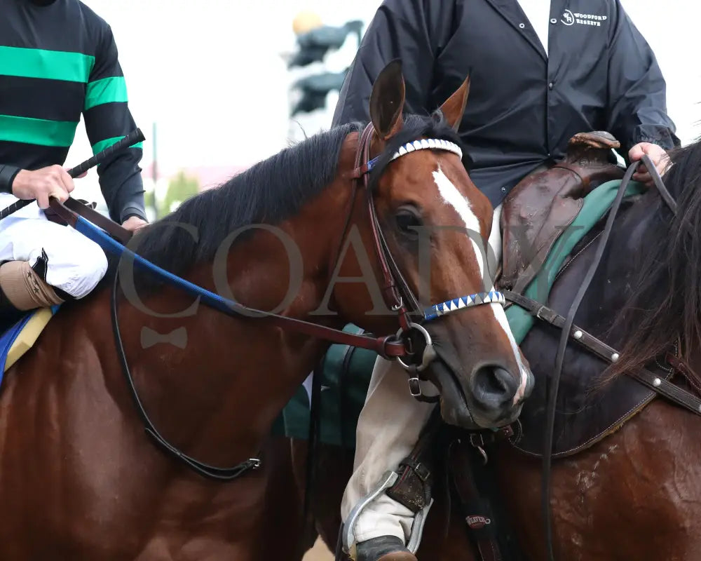 Mystik Dan - The Kentucky Derby G1 150Th Running 05-04-24 R12 Churchill Downs Post Parade 03 Ashley