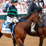 Mystik Dan - The Kentucky Derby G1 150Th Running 05-04-24 R12 Churchill Downs Post Parade 06 Alisa