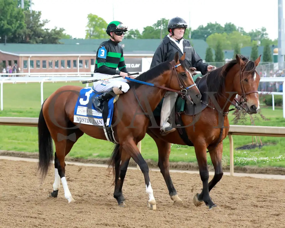 Mystik Dan - The Kentucky Derby G1 150Th Running 05-04-24 R12 Churchill Downs Post Parade 07 Alyssa