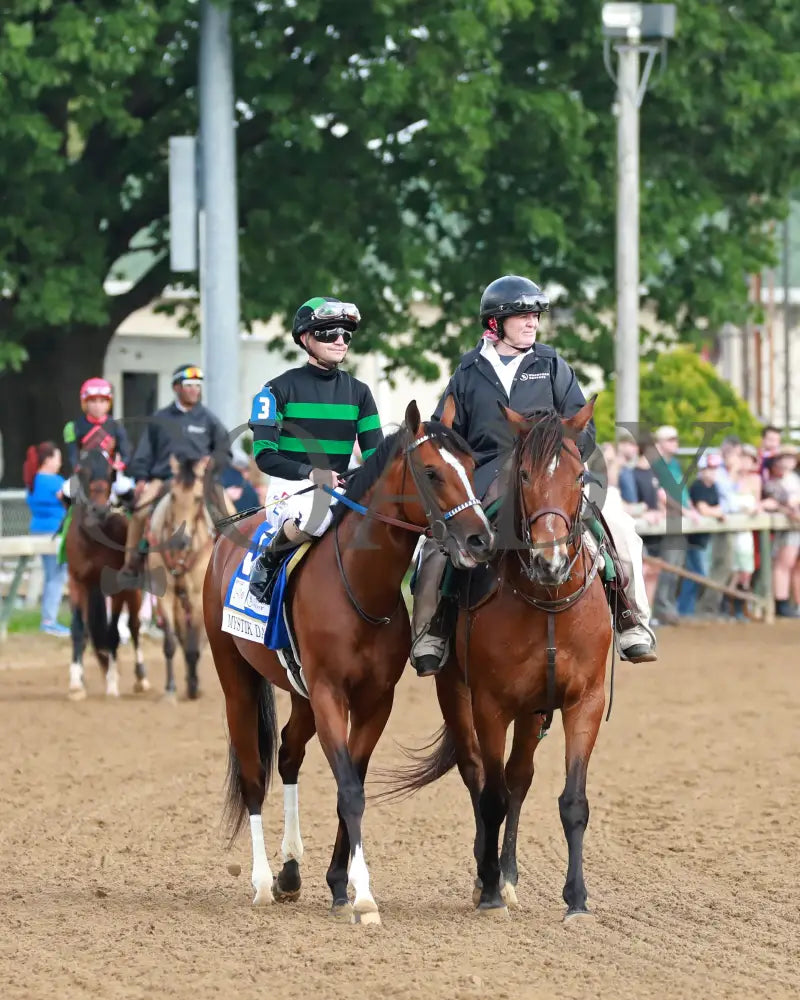 Mystik Dan - The Kentucky Derby G1 150Th Running 05-04-24 R12 Churchill Downs Post Parade 08 Alyssa