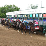 Mystik Dan - The Kentucky Derby G1 150Th Running 05-04-24 R12 Churchill Downs Start 01 Shawn Coady