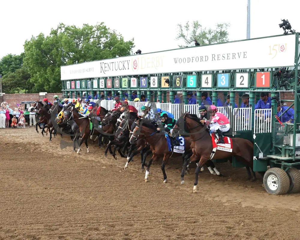 Mystik Dan - The Kentucky Derby G1 150Th Running 05-04-24 R12 Churchill Downs Start 01 Shawn Coady