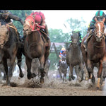 Mystik Dan - The Kentucky Derby G1 150Th Running 05-04-24 R12 Churchill Downs Under Rail 02 John