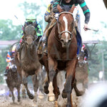 Mystik Dan - The Kentucky Derby G1 150Th Running 05-04-24 R12 Churchill Downs Under Rail 03 John