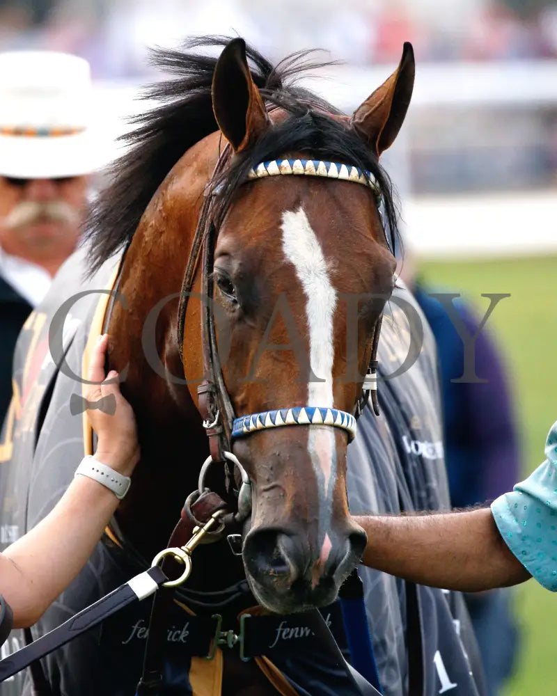 Mystik Dan - The Kentucky Derby G1 150Th Running 05-04-24 R12 Churchill Downs Walk Back 02 Alisa