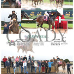 Navy Seal - 12-15-24 R05 Op Oaklawn Park