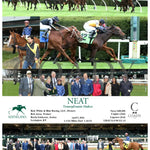 Neat - Transylvania Stakes 04 - 05 - 24 R08 Kee Keeneland