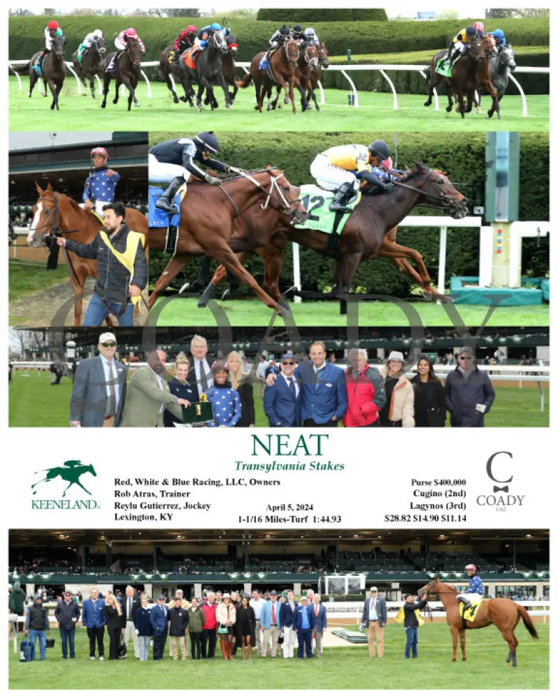 Neat - Transylvania Stakes 04 - 05 - 24 R08 Kee Keeneland