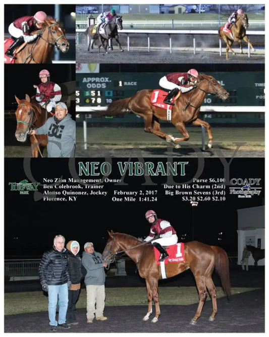 Neo Vibrant - 020217 Race 01 Tp Turfway Park