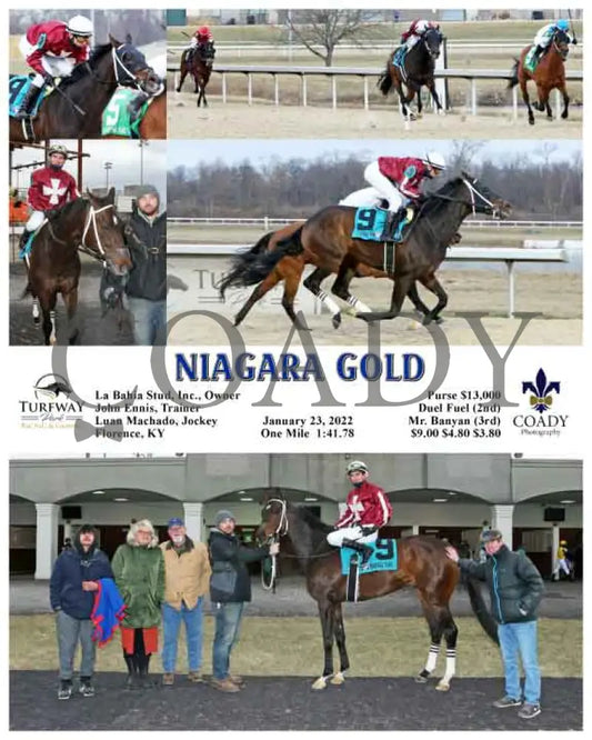 Niagara Gold - 01-23-22 R06 Tp Turfway Park