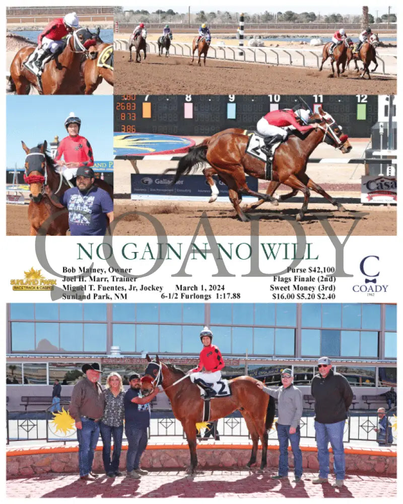 No Gain N Will - 03-01-24 R04 Sun Sunland Park