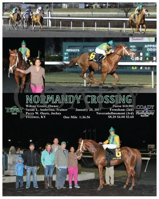 Normandy Crossing - 012017 Race 06 Tp Turfway Park