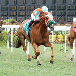 Nothing Better - The Mighty Beau 06-08-24 R10 Cd- Finish 02 Churchill Downs