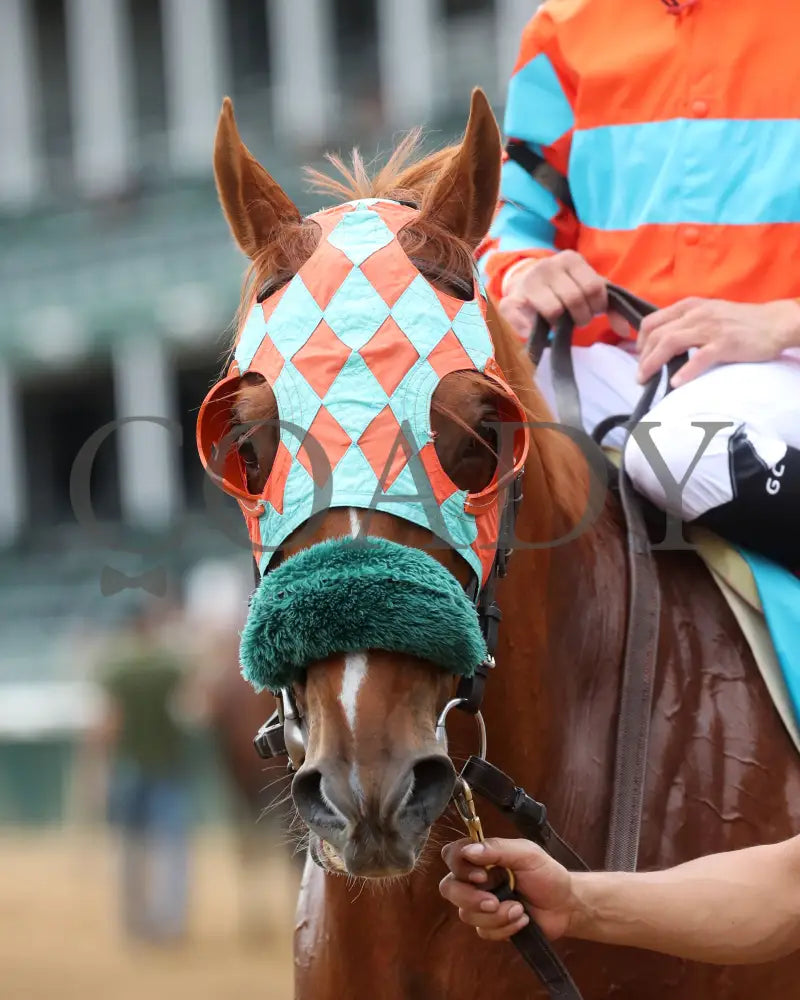 Nothing Better - The Mighty Beau 06-08-24 R10 Cd- Head Shot 01 Churchill Downs