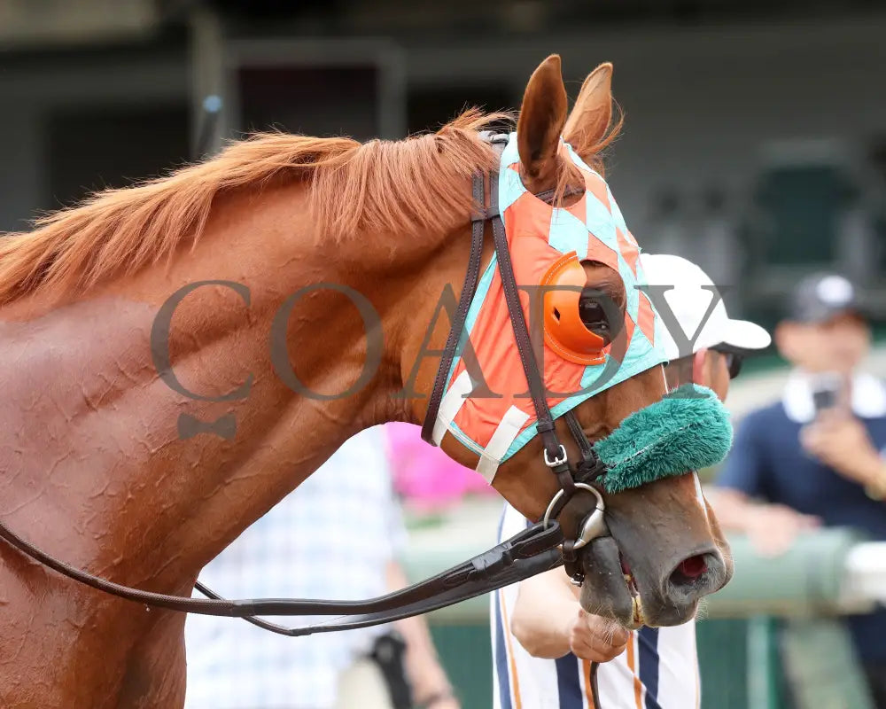 Nothing Better - The Mighty Beau 06-08-24 R10 Cd- Head Shot 02 Churchill Downs