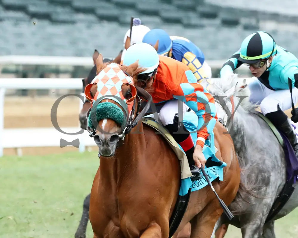 Nothing Better - The Mighty Beau 06-08-24 R10 Cd- Inside Finish 01 Churchill Downs