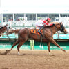 O Besos - The St. Matthews Overnight Stakes 05-02-24 R10 Cd Finish 01 Churchill Downs