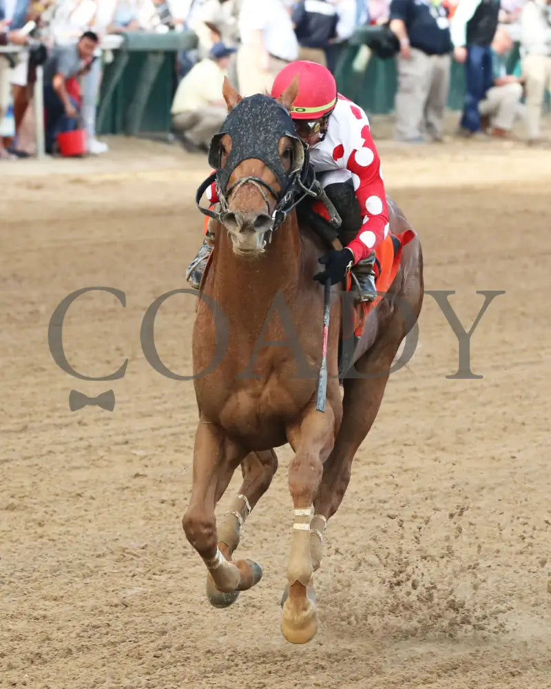 O Besos - The St. Matthews Overnight Stakes 05-02-24 R10 Cd Inside Finish 01 Churchill Downs