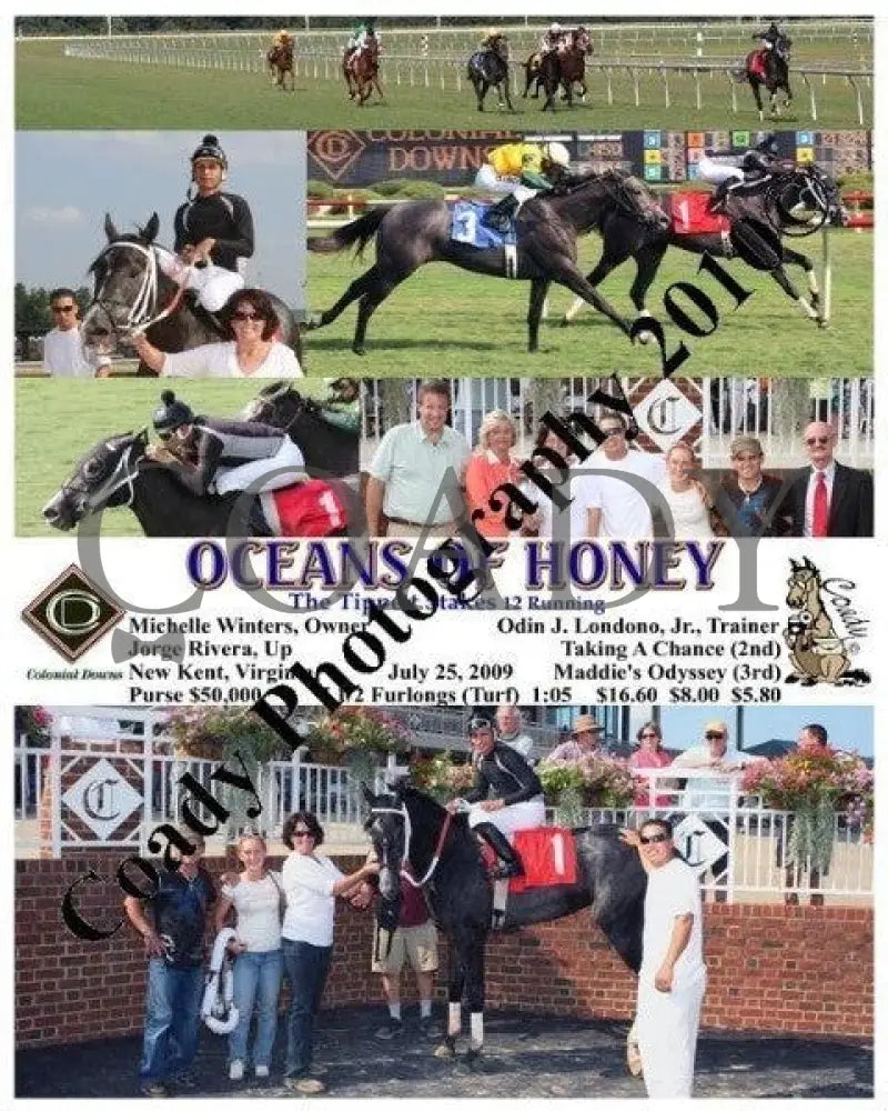 Oceans Of Honey - The Tippett Stakes 12 Running Colonial Downs