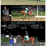 O’conner Sunset - 05-06-24 R07 Mnr Mountaineer Park