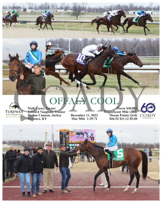 Offaly Cool - 12-11-22 R02 Tp Turfway Park