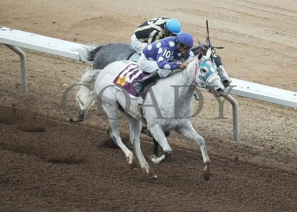 Oh My Ghost - New Mexico Breeders’ Oaks Aerial Sunland Park