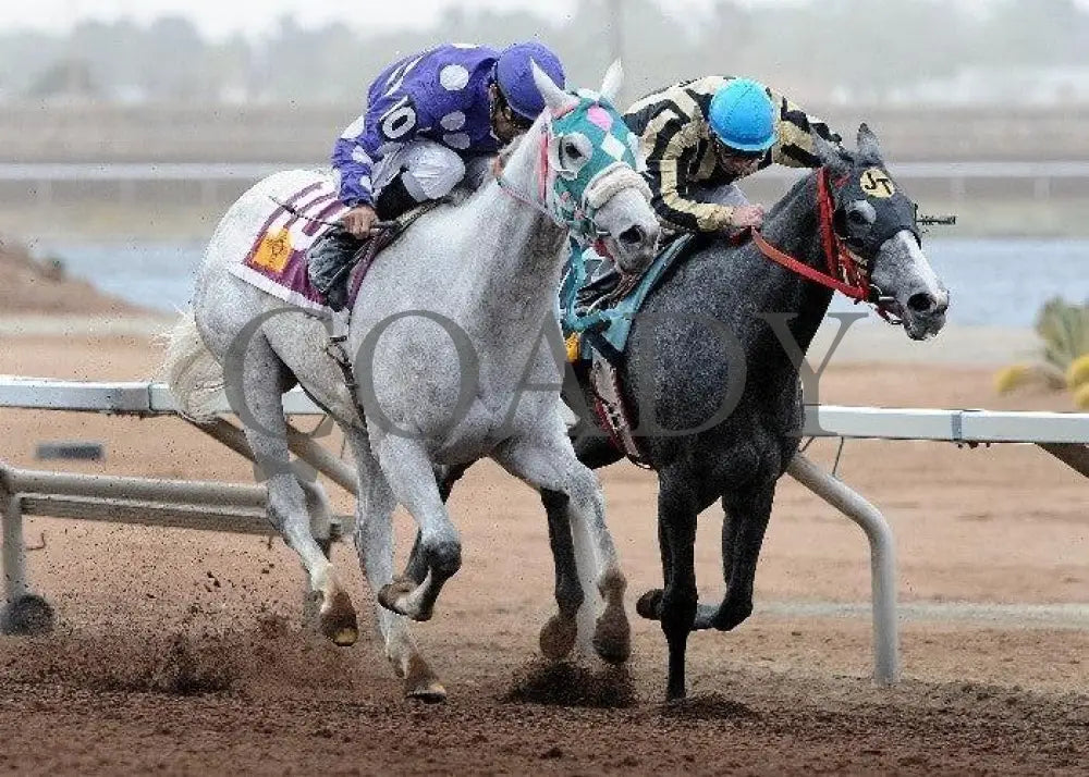 Oh My Ghost - New Mexico Breeders’ Oaks Sunland Park