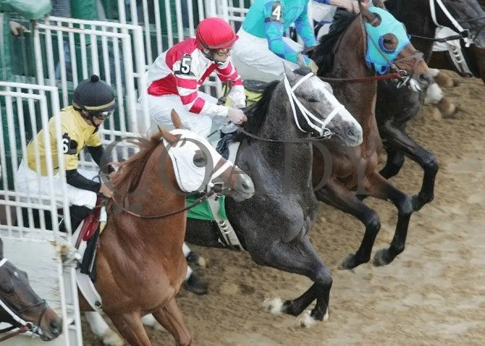 Old Fashioned - The Southwest Stakes Aerial Oaklawn Park