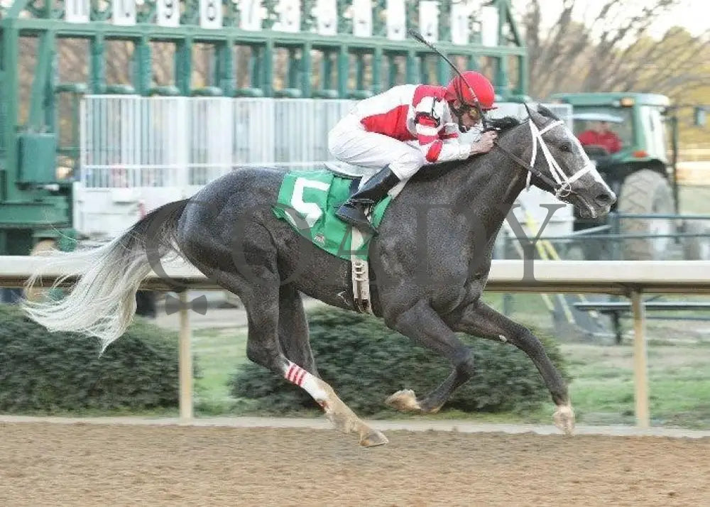 Old Fashioned - The Southwest Stakes Finish Oaklawn Park