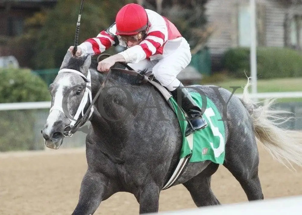 Old Fashioned - The Southwest Stakes Inside Fin Oaklawn Park